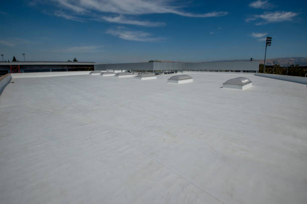 Best Roof Moss and Algae Removal  in Mifflinburg, PA